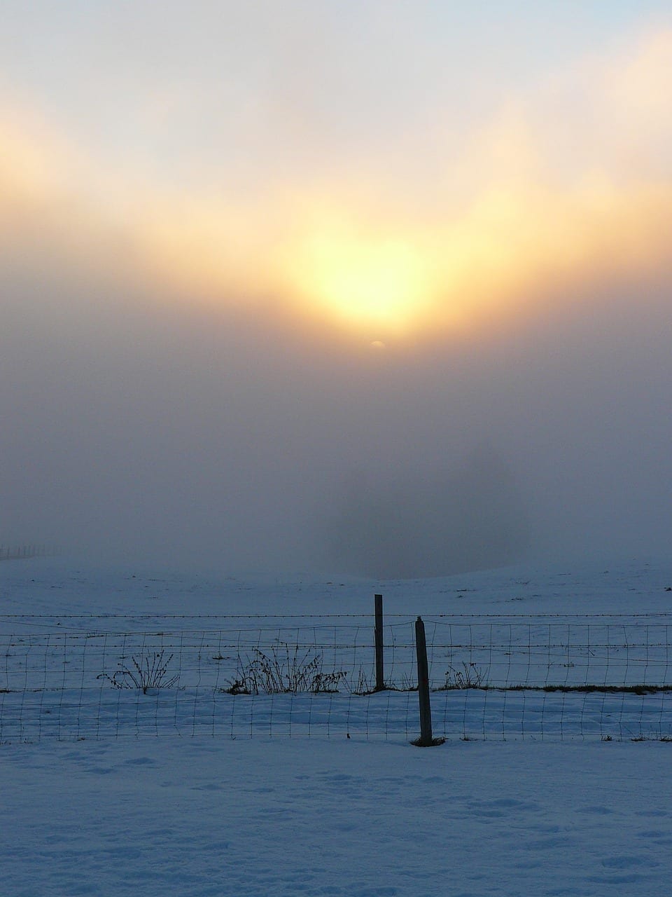 Snow and fog