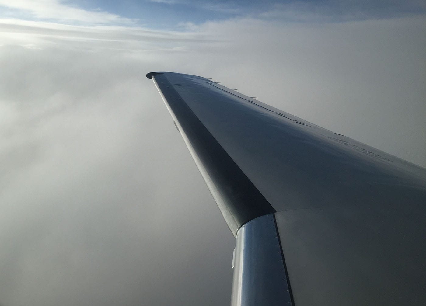 Wing with snow