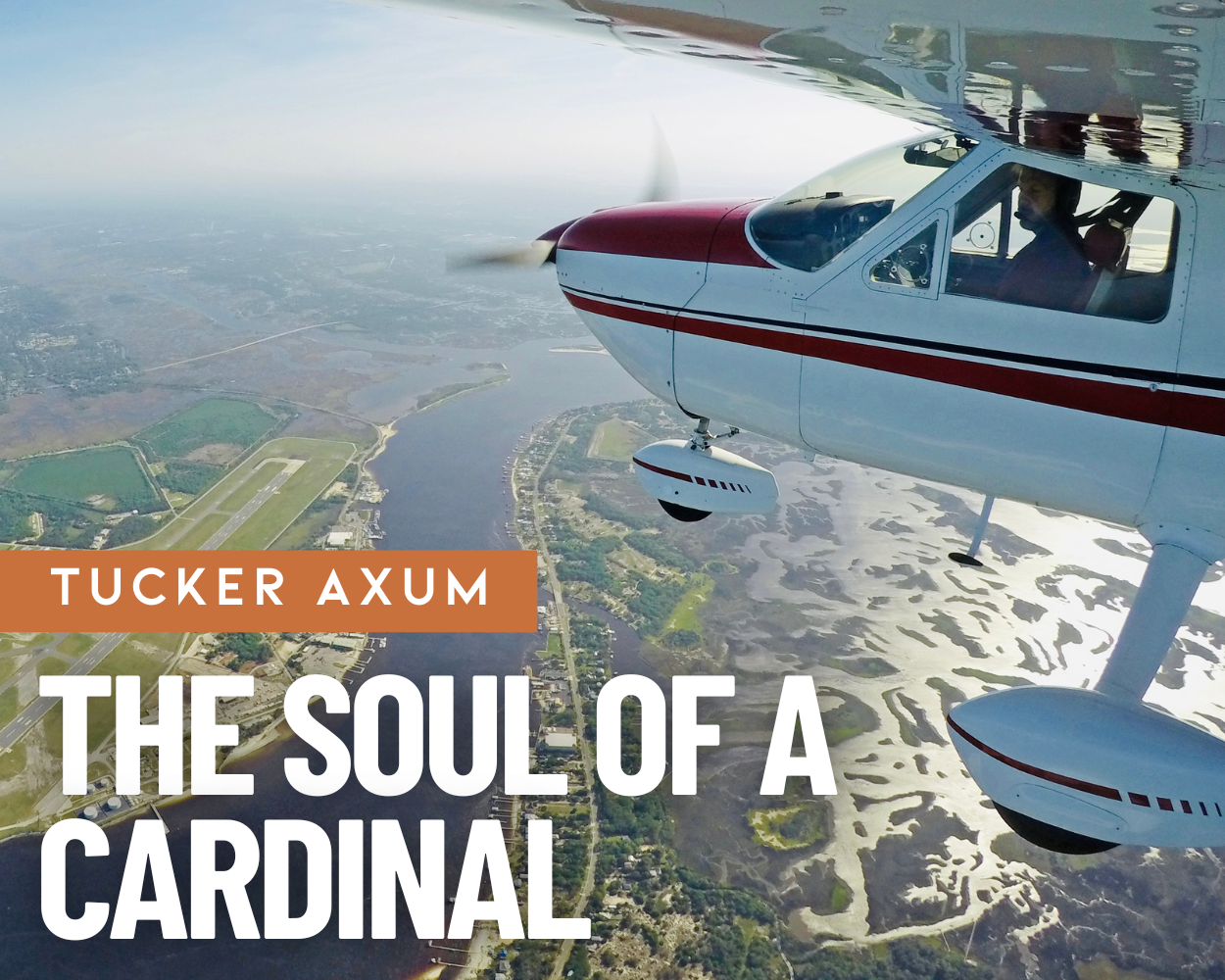 A Higher Purpose: The Soul of a Cardinal : Air Facts Journal